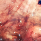 Illustration for article titled The Omega Nebula is a galactic Rorschach test